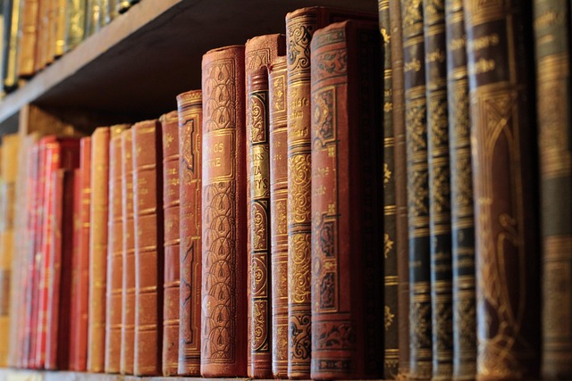 bookstore staff shelving books workshop