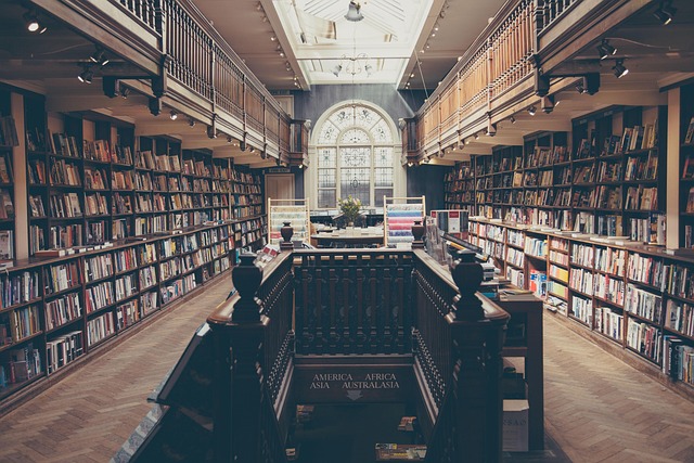modern bookstore shelves display